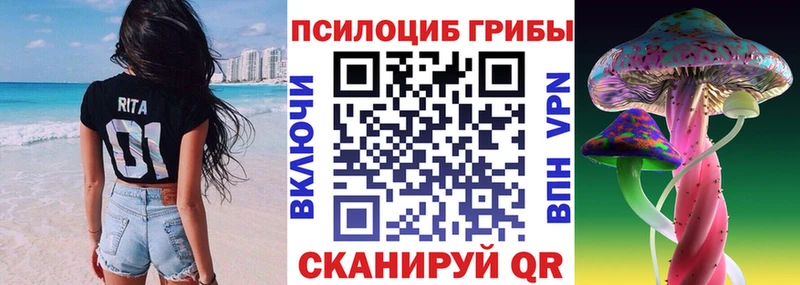 Галлюциногенные грибы Psilocybine cubensis  Купить  Великие Луки 