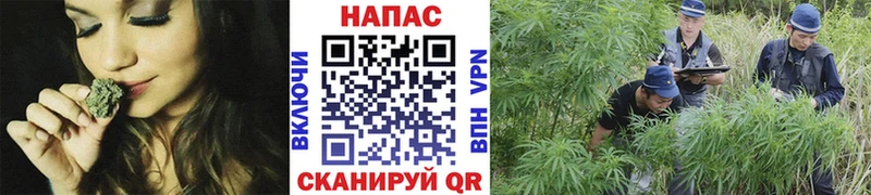 Канабис тримм  Купить закладки  Великие Луки 
